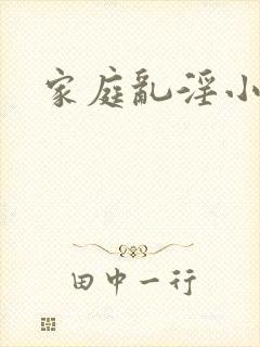 家庭乱淫小说封面