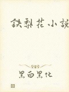 铁梨花小说