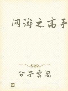 网游之高手寂寞