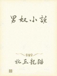 男奴小说封面