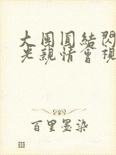 大团圆结闪闪发光亲情会视频