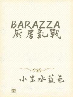 BARAZZA厨房乱战封面