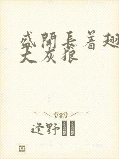 盛开长着翅膀的大灰狼封面