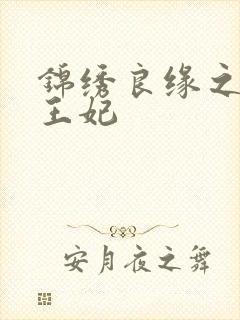 锦绣良缘之北地王妃