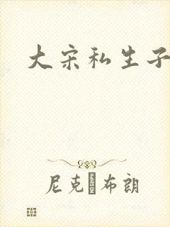 大宋私生子封面