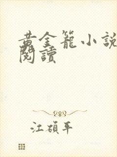 黄金笼小说免费阅读封面