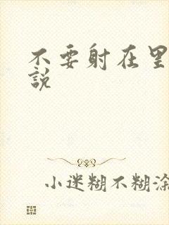 不要射在里面小说
