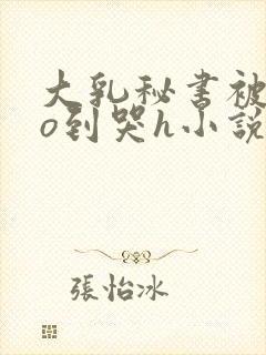 大乳秘书被cao到哭h小说