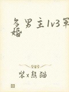 多男主1v3军婚封面