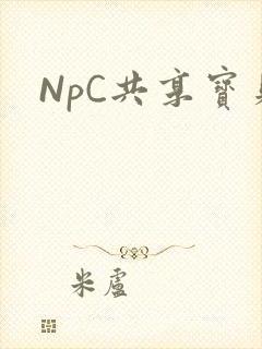 NpC共享宝贝