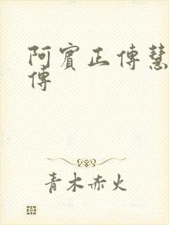 阿宾正传慧钰外传