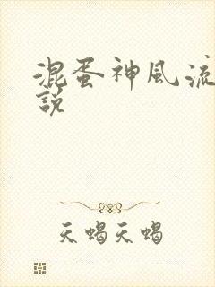 混蛋神风流史小说