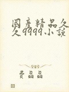 国产精品久久久久9999小说