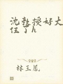 沈教授好大含不住了h