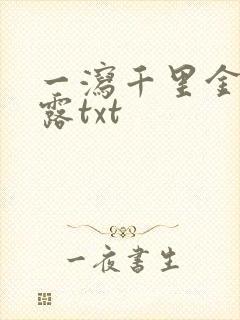 一泻千里金银花露txt封面