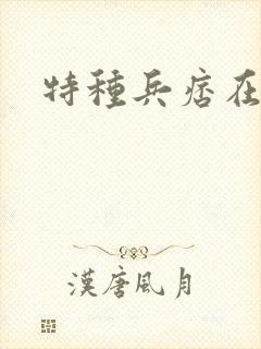 特种兵痞在都市