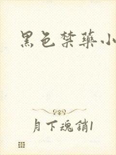 黑色禁药小说