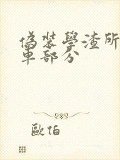 伪装学渣所有开车部分封面