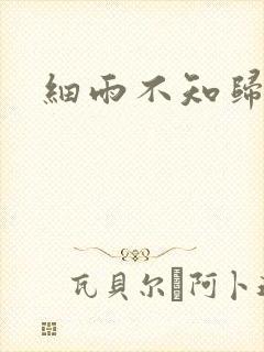 细雨不知归
