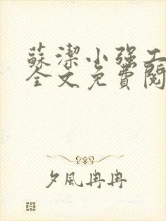 苏洁小强工地情全文免费阅读