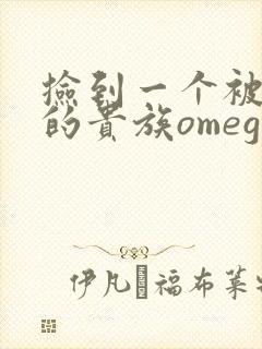 捡到一个被抹布的贵族omega