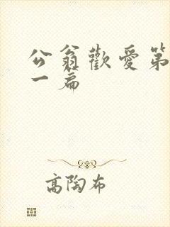 公翁欢爱第三十一篇