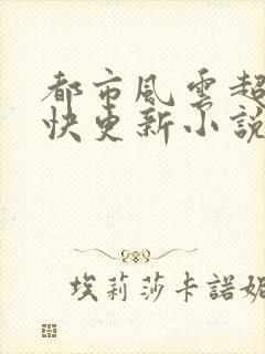 都市风云超前超快更新小说
