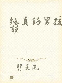 纯真的男孩子小说封面