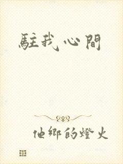 驻我心间封面