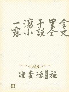 一泻千里金银花露小说全文免费阅读