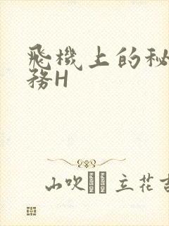 飞机上的秘密服务H