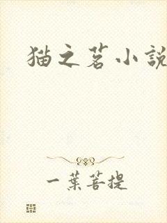 猫之茗小说