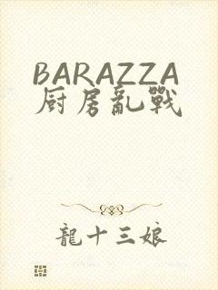 BARAZZA厨房乱战