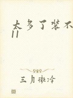 太多了装不下H11封面