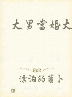 大男当婚大结局