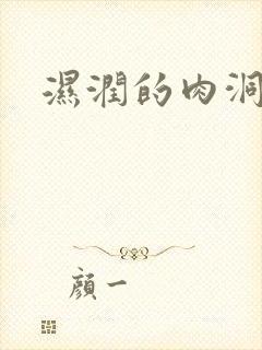 湿润的肉洞