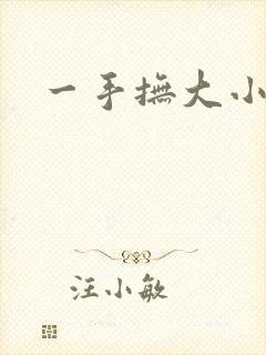 一手抚大小说