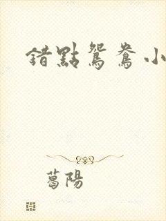 错点鸳鸯小说封面