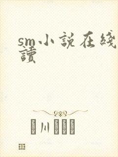 sm小说在线阅读