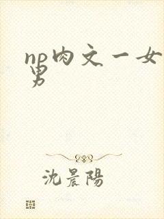 np肉文一女多男