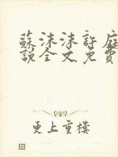 苏沫沫许庭川小说全文免费阅读封面