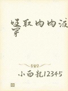 吸取肉肉液液快穿封面