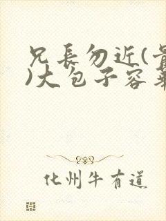 兄长勿近(骨科)大包子容华