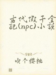 古代假千金挨日记(npc)小说