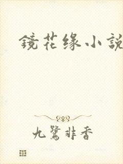 镜花缘小说