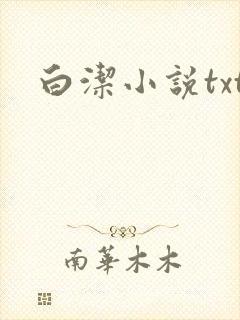 白洁小说txt