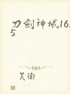 刀剑神域16.5封面
