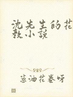 沈先生的花式调教小说