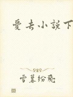 爱去小说下载网