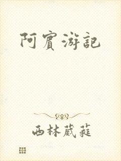 阿宾游记
